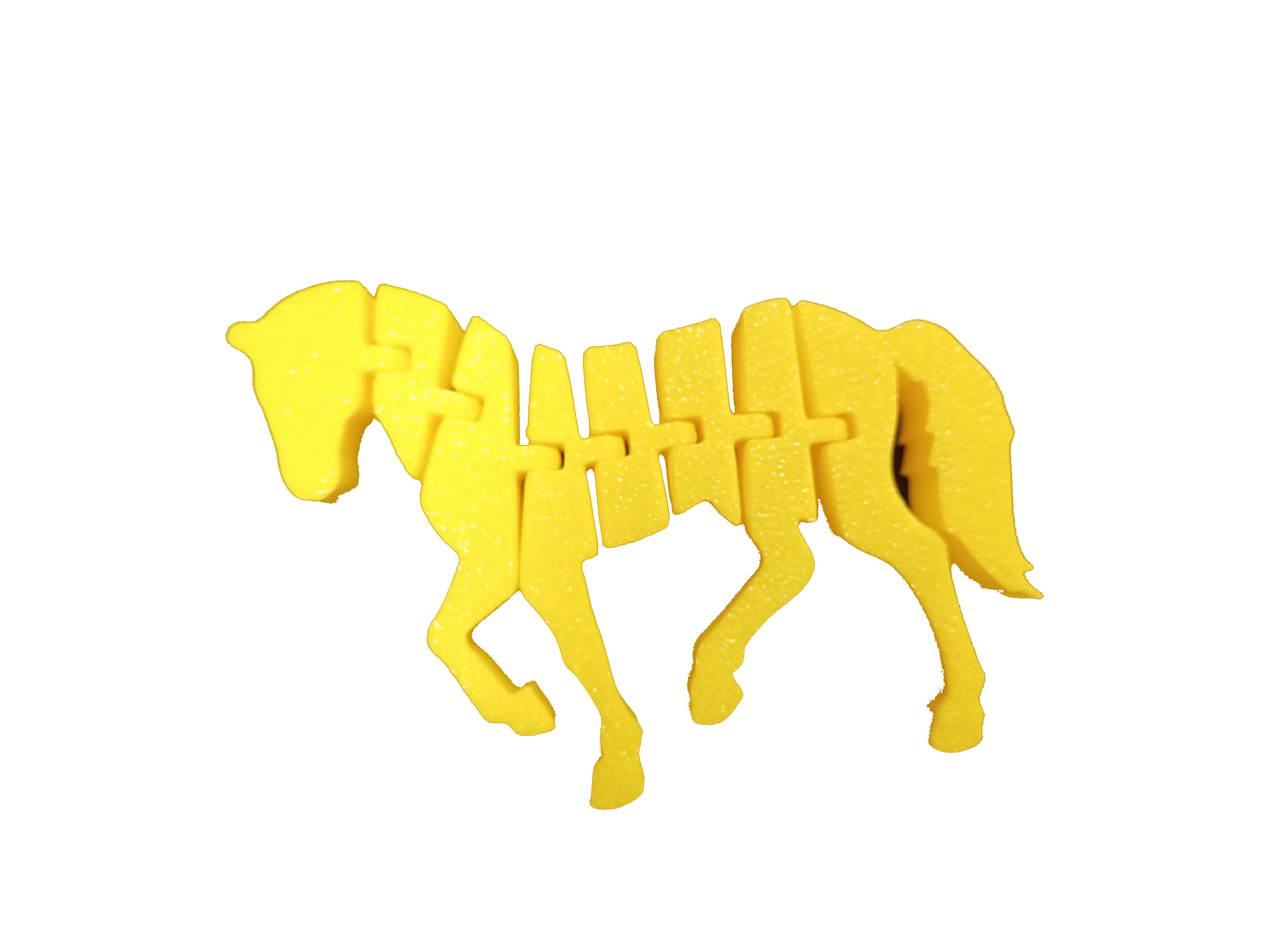Koń